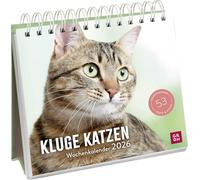 Wochenkalender 2026: Kluge Katzen: Katzenkalender zum Aufstellen mit Wochenkalendarium, Tischkalender für Katzenfreunde
