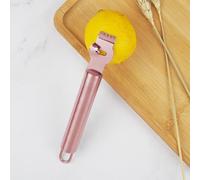 Wodsty Grattugia in acciaio inox con manico ergonomico per agrumi, per arancia, pompelmo e melograno