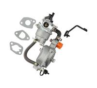 Wodsty KIT CARBURATORE DOPPIO PER GPL COMPATIBILE CON 100153 E 100296 (3KW) | Kit di conversione per carburatore a gas liquido 168F 170F 3KW generatori