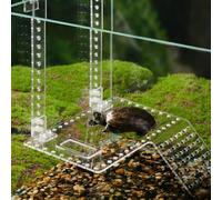 Wodsty Tartarughe piattaforma trasparente con scala da arrampicata per | Acrilico cristallino, facile osservazione, struttura stabile, favorisce il comportamento naturale del sole