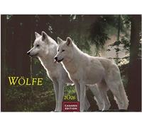 Wölfe Kalender 2026 24x35cm - Wandkalender mit faszinierenden Wolf-Motiven,