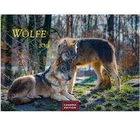 Wölfe Kalender 2026 35x50cm Grosses Format - Wandkalender mit faszinierenden Wolf-Motiven,.