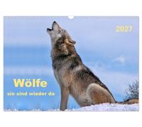 Wölfe - sie sind wieder da (Wandkalender 2027 DIN A3 quer), CALVENDO Monatskalen