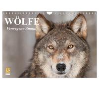 Wölfe. Verwegene Anmut (Wandkalender 2027 DIN A4 quer), CALVENDO Monatskalender