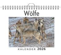 Wölfe: (Wandkalender 2026, Kalender DIN A4 quer, Monatskalender im Querformat mit Kalendarium, das perfekte Geschenk)