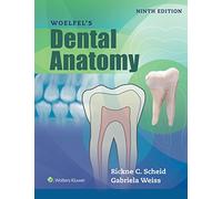 Woelfels Dental Anatomy