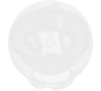 WOFASHPURET Paralume da Esterno a Globo Trasparente 25 Cm, Copertura Leggera per Lampione da Giardino, Globo Luminoso di Ricambio Resistente Agli Agenti Atmosferici per Cortili e Ville