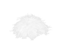 WOFASHPURET Parrucca Riccia Crespa Corta Bianca Per Cosplay e Feste Tema Per Maschere e Costumi Scientifici Adatto Adolescenti e Adulti