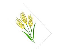 WOFASHPURET Stampi per Stencil Torte 5 Pezzi Set, Utensili per Decorare Dolci Fai da Te in Plastica Bianca, Accessori per Cake Design e Spray Decorativi per Dessert e Fondente