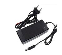 WOFMCKXU Batteria M365 da 36 V e 100000 mAh, Caricabatterie, Compatibile con Xiaomi Mijia M365 M356 PRO Special 10s3p, Batteria agli ioni di Litio for Scooter Elettrico(Charger-No Battery)