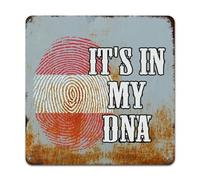 WoGuangis Targa in metallo con bandiera dell'Austria It's in My DNA, da appendere alla parete, in metallo, stile retrò, regalo per viaggiatori del mondo, per soggiorno, 25,4 x 25,4 cm, regalo per la
