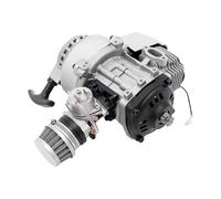 WOLEGM Motore 49 CC a 2 tempi, Mini Motore a Benzina da 3 CV Manuale 12500 giri/min con Grande Serbatoio di Carburante per Motociclette a 2 Tempi da 49 CC, Nero, Argento