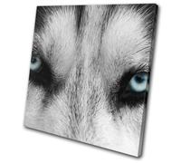 Wolf Blue Eyes Wild Modern Animals SINGLE TELA parete arte foto stampa