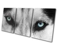 Wolf Blue Eyes Wild Modern Animals TREBLE TELA parete arte foto stampa