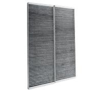 Wolf Filtro a carboni attivi ePM 2,5 50% Set da 2 pezzi, per CWL-300/400 Exc. - 1669305