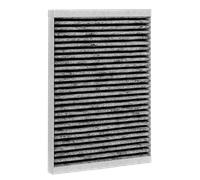 Wolf Filtro a carboni attivi ePM 2,5 50% Set da 2 pezzi, per CWL-F/T-300Excellent - 1670348