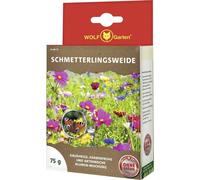 WOLF-Garten 3850045 Seme di grano saracinante N-SW 75 1 pz.