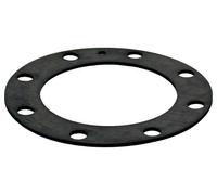 Wolf Guarnizione Coperchio Manhole SE-1/SE-2-150-500 (AE)