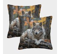 Wolf in Forest-Wildlife Photography Style Federe Cuscini Per Divano Decorative Art Fodere Per Cuscini Confezione Da 2 Moderni Da Letto Divano 40x40cm