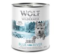 Little Wolf of Wilderness Junior 12 x 800 g - Blue River - Pollo & Salmone