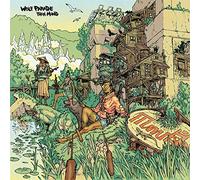 Wolf Parade - Thin Mind