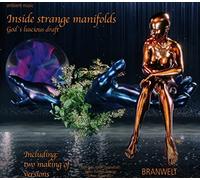 Wolf-Peter Riedel - Branwelt 2 - Inside Strange Manifolds