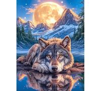 Wolf Reflected in Water Under The Moon Puzzle 300 Pezzi Per Principianti Assoluti Wildlife Plant Cartone Rigido Difficoltà Bassa Per Imparare Con Guida Passo Passo Qualità Garantita Con Poster 300 PC