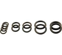 Wolf Set O-ring gruppo idraulico per CGG 8612385