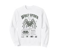 Wolf Spider Lycosidae Arachnid Natural History Felpa
