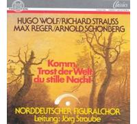 WOLF / STRAUSS / REGER / SCHONBER Come Consolation of the World (CD)