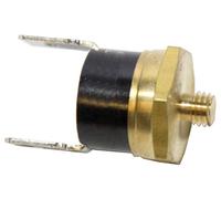 Wolf Termostato Di Temperatura In Entrata Per CGS