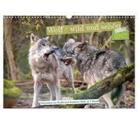 Wolf - wild und schön (Wandkalender 2027 DIN A3 quer), CALVENDO Monatskalender