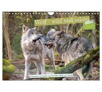 Wolf - wild und schön (Wandkalender 2027 DIN A4 quer), CALVENDO Monatskalender