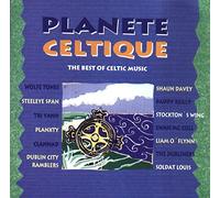Wolfe Tones, Steeleye Span, Tri Yann, Planxty, Clannad..