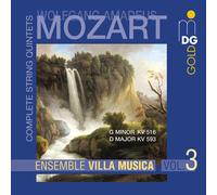 Wolfgang Amadeus Mozart Ensemble Villa Musica (CD)