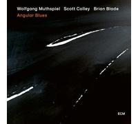 Wolfgang Muthspiel - Blues angolare - SHM