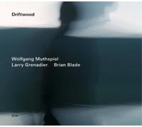 Wolfgang Muthspiel/Larry Grenadier/Brian Blade Driftwood (CD) Album