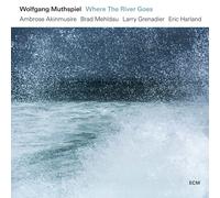 Wolfgang Muthspiel Where the River Goes (Vinyl LP) 12" Album