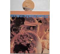 WOLFGANG PRESS - WOLFGANG PRESS - MAMA TOLD ME NOT TO COME - 12" VINYL