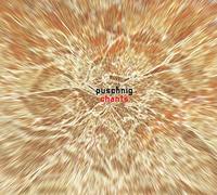 Wolfgang Puschnig - Chants
