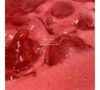 Wolfgang Tillmans Can't Escape Into Space (Honey Djon's Euphoria Mix) (Vinyl LP)