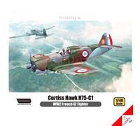WOLFPACK 1/48 Curtiss Hawk H75-C1 WW2 Kit modello hobby per caccia AF...