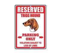 Wolfsheim - The Sparrows & Nightingales