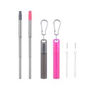 Wolfteeth 2 Pack Reusable Telescopic Metal Straws with Food Grade Silicone Tip, Collapsible Stainless Steel Folding Drinking Straws with Portable Plastic Case & Cleaning Brush, Grey & Rose 502602