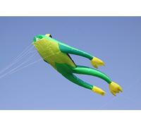 Wolkenstürmer linea singola Aquiloni volanti Fritz The Frog Verde Kite per principianti