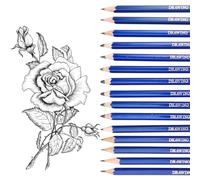 WOLMIK Set di 15 Matite da Disegno 14B 12B 10B 8B 6B 5B 4B 3B 2B B HB H 2H 3H 4H, Matite da Disegno Professionali per Adulti e Principianti