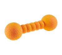 Wolters Aqua-Fun Gym Gioco per Cane 23cm Caucciù Mango Galleggiante Attivo