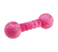 Wolters Aqua-Fun Gym Gioco per Cane, 23cm, Lampone, Robusto E Galleggiante