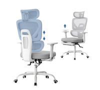 WOLTU Sedia da Ufficio Ergonomica, Sedia Girevole e Regolabile con Ruote, in Tessuto a Rete, con Braccioli 3D, Poggiatesta 3D, Supporto Lombare e Poggiapiedi, per Ufficio, Studio, Grigio