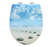 WOLTU Sedile WC Copriwater Universal con Chiusura Ammortizzata Tavoletta WC Soft Close con Cerniere Regolabili Toilet Seat a Sgancio Rapido in Duroplast Cielo Blu a Forma di O